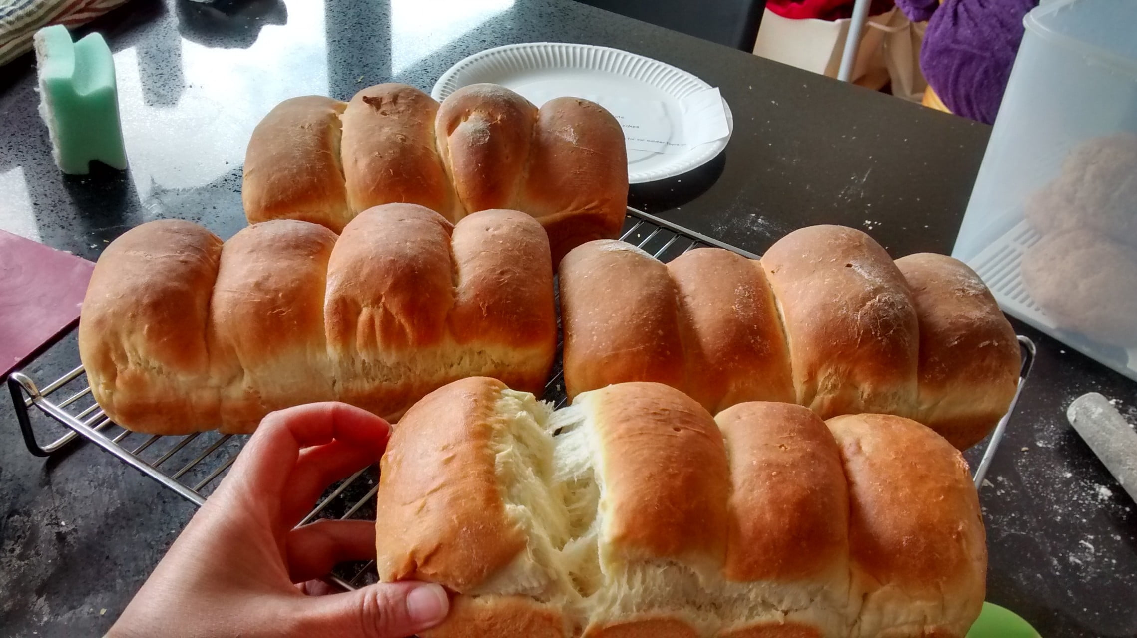 hokkaido bread